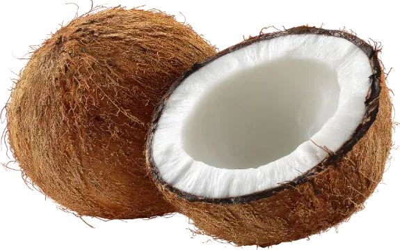 Coconut